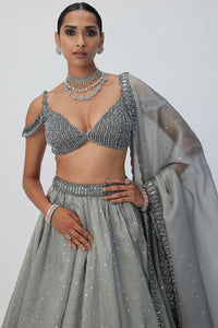 Crystal Grey Sequins Scattered Lehenga Set