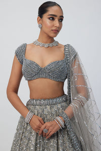 Crystal Grey Sequins Lehenga Set