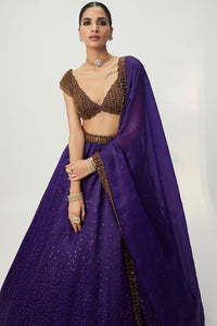 Purple Sequins Lehenga Set