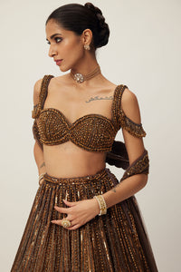 Copper Linear Embroidered Lehenga Set