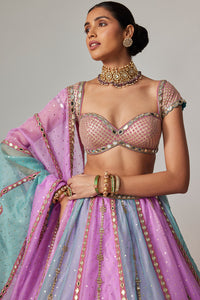Mauve Multicolor Lehenga Set