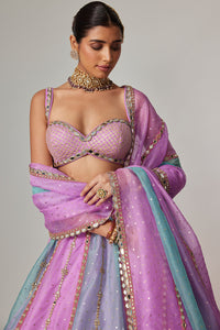 Mauve Multicolor Lehenga Set