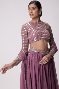 Mud Mauve Embroidered Lehenga Pants Set