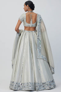 Silver Shimmer Organza Linear Lehenga Set