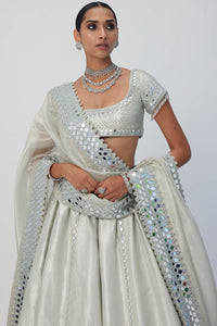 Silver Shimmer Organza Linear Lehenga Set