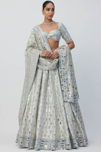 Silver Shimmer Organza Lehenga Set