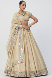 Golden Shimmer Organza Linear Lehenga Set