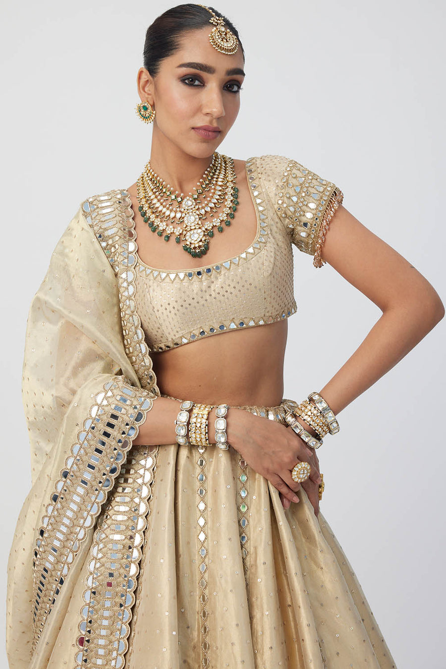 Golden Shimmer Organza Linear Lehenga Set