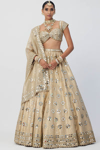 Golden Shimmer Organza Flower Lehenga Set