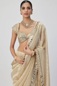 Golden Shimmer Organza Saree Set (Copy)