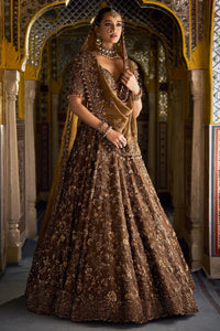 Bronze Tissue Lehenga Set