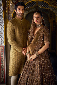 Bronze Tissue Lehenga Set