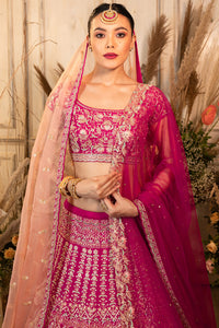 NAZIA Lehenga