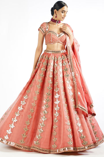 Mellow Rose Chandelier Drop Lehenga Set