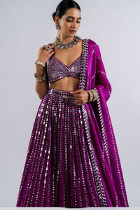 Pop Wine Linear Drop Lehenga with Metallic Blouse