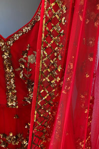 Pink-Red Embroidered Net Lehenga