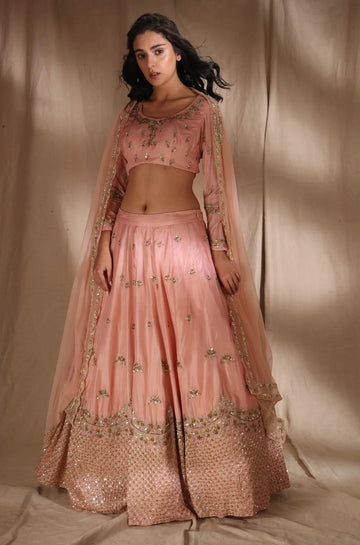 Pink Zari Silk Lehenga